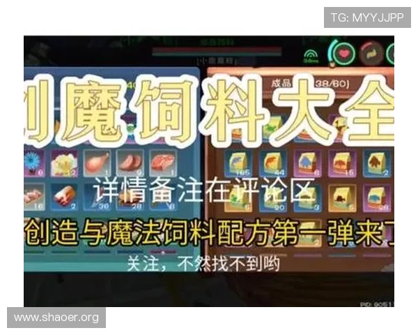 壹号平台下载安装官方网站完整流程介绍，快速掌握平台安装与使用技巧