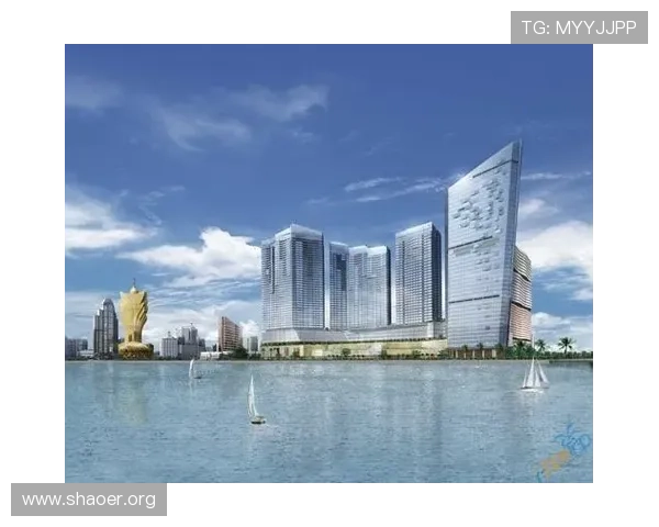 澳门壹号最新网站导航指南，帮助用户轻松找到所需信息与服务内容